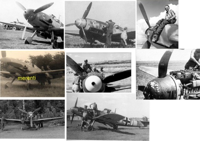 кок обдиры - 1.jpg